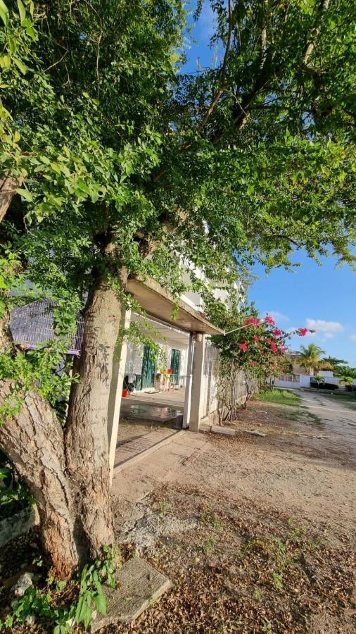 Solar Teixeira Flats Hotel Pôrto das Galinhas Exterior foto